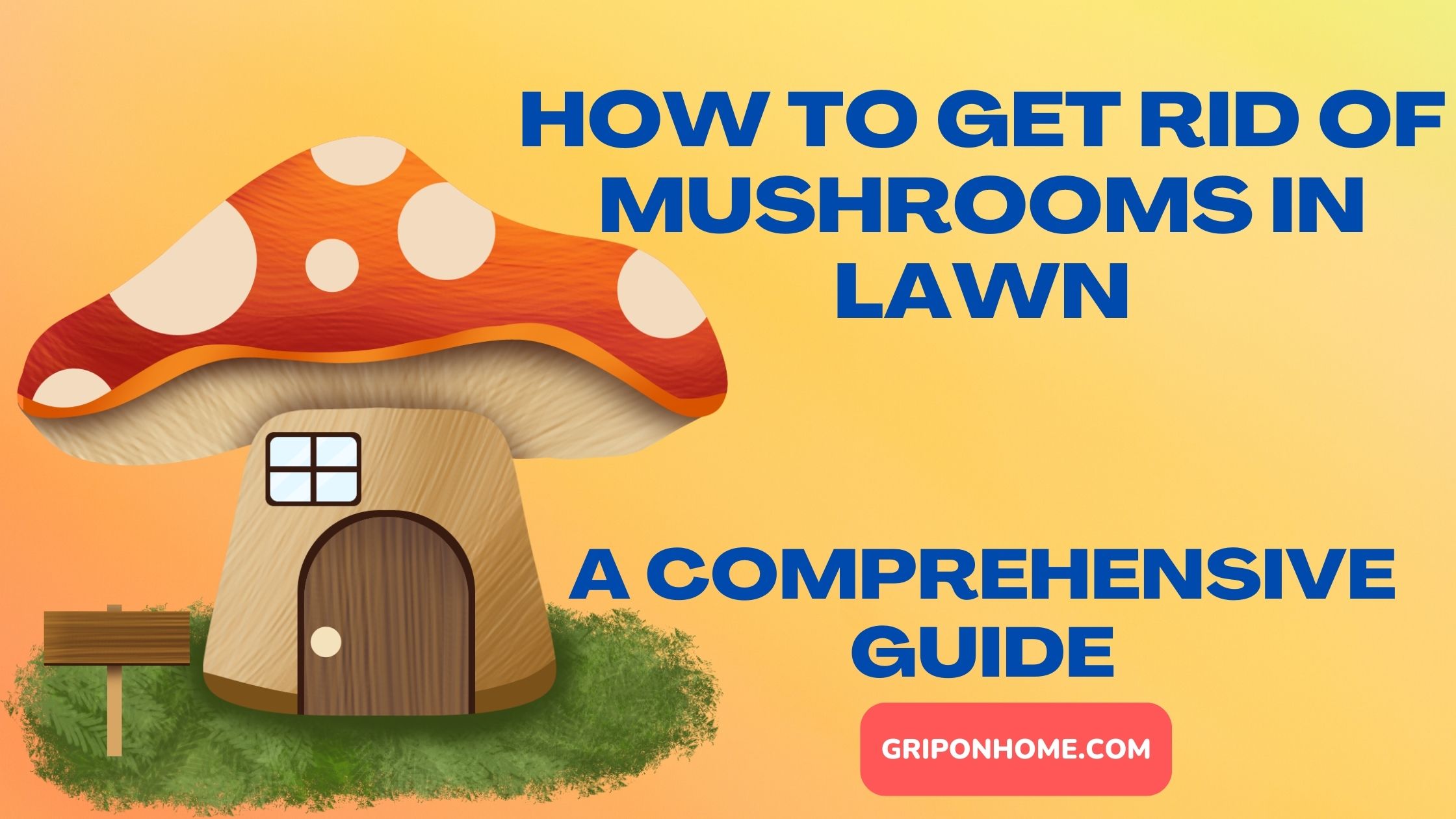 How to Get Rid of Mushrooms in Lawn