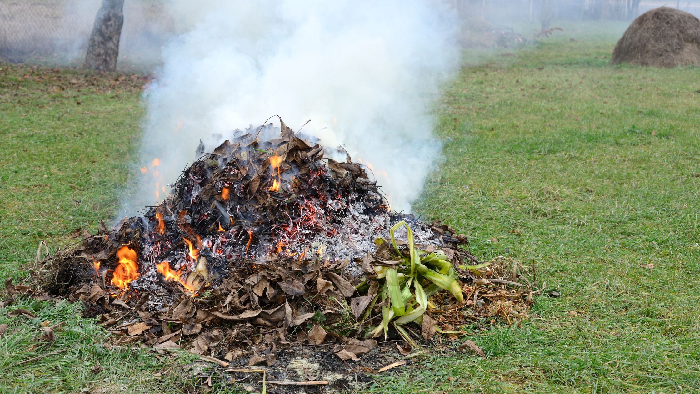 home improvement, burn leaves, leaf burning, leaf disposal, leaf removal, garden waste, yard waste